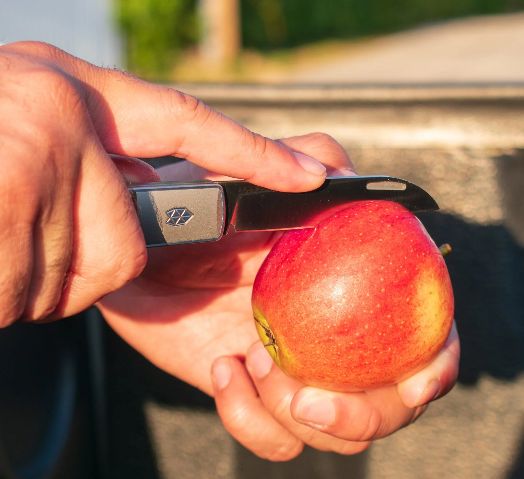 The Wayland Knife - Image 9